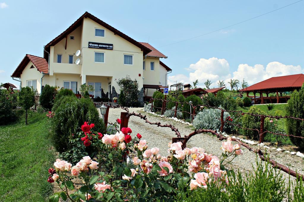 Pensiunea Faur Sebes  Bagian luar foto